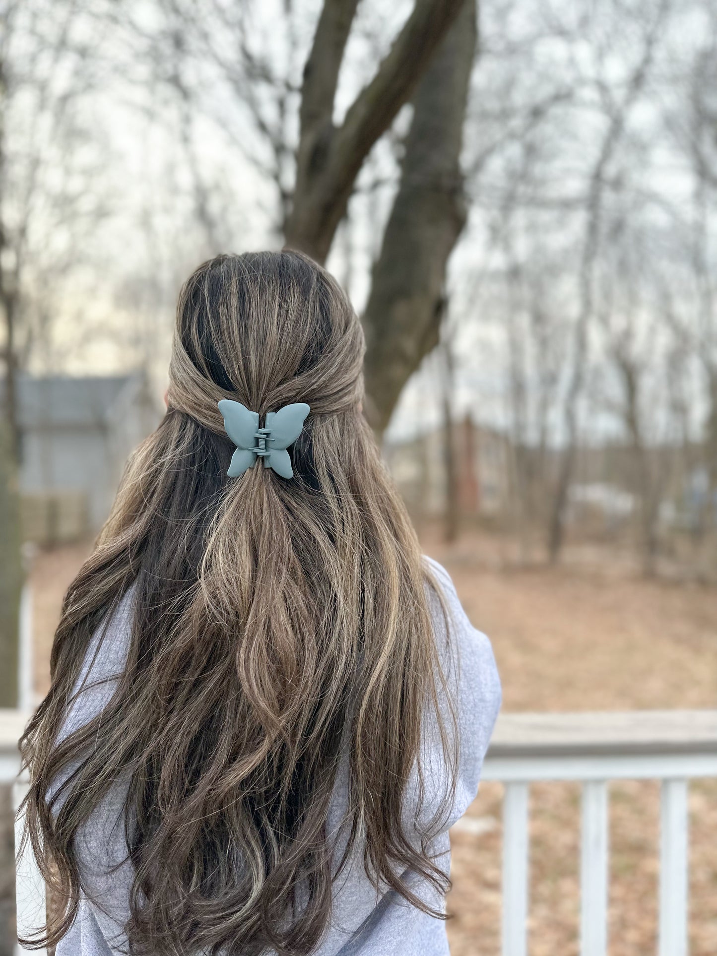 Butterfly Hair Clip