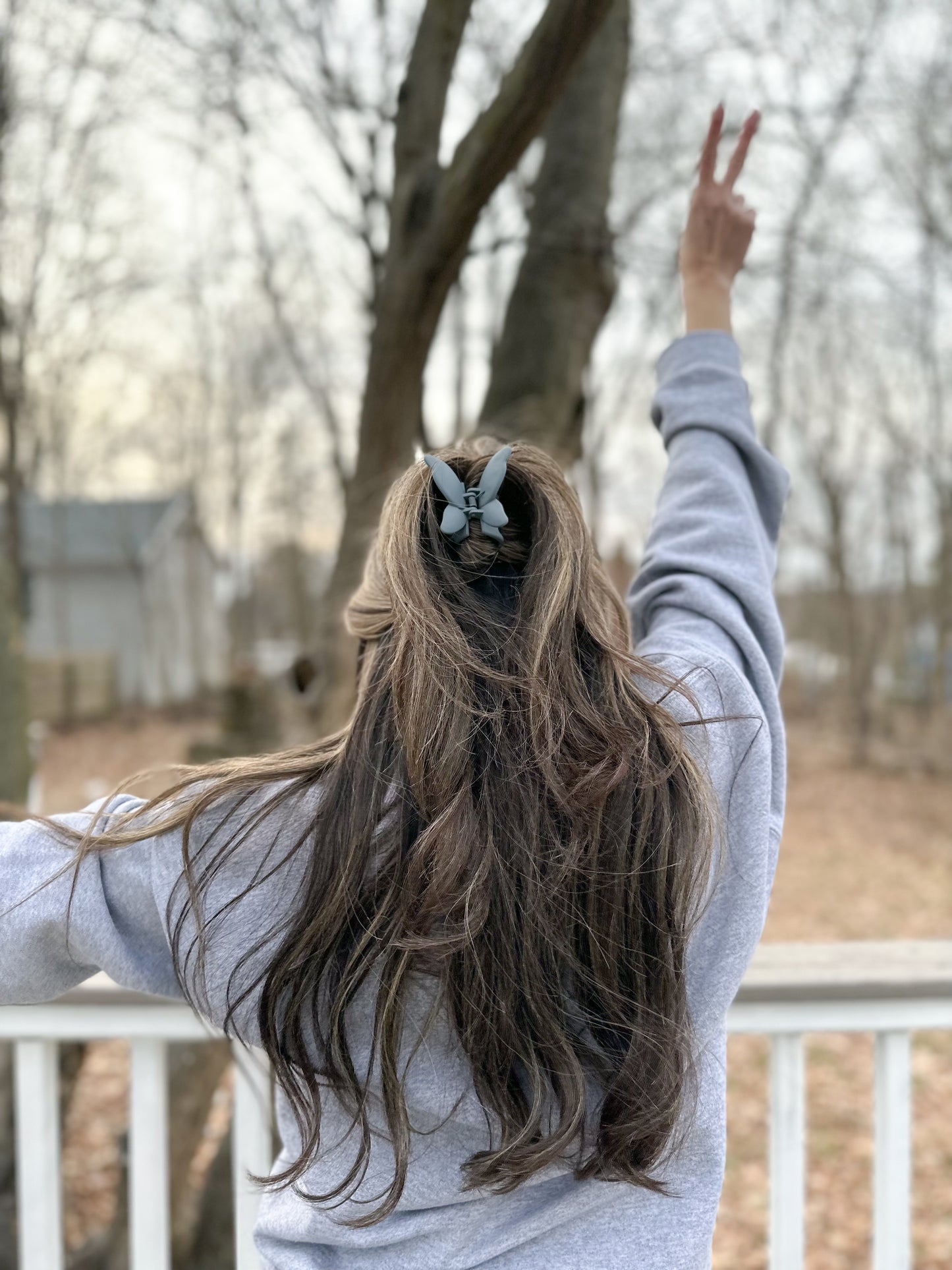 Butterfly Hair Clip