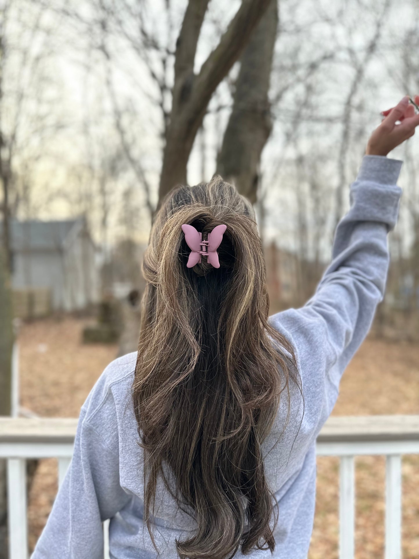 Butterfly Hair Clip