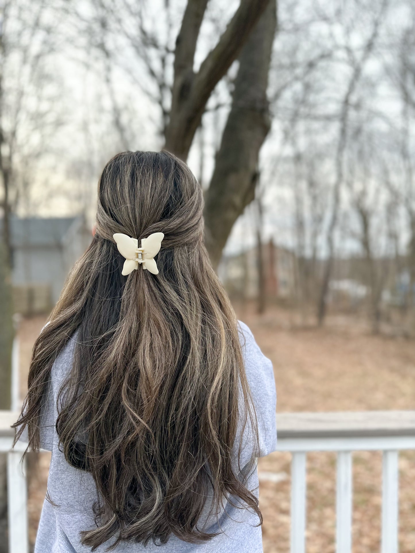 Butterfly Hair Clip
